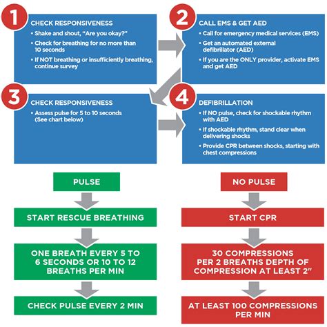 *FREE* 2024 CPR, BLS, ACLS, PALS, Study Guide & Practice .